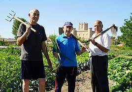 Toño Lorenzo, Julián Rosón y Jesús Gordoncillo en su huerta de Torrelobatón.