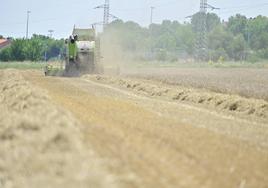 Agroseguro eleva a 180 millones las indemnizaciones por sequía en la región