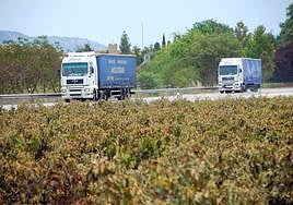 Tráfico de camiones por la N-122 a su paso por la provincia de Valladolid.