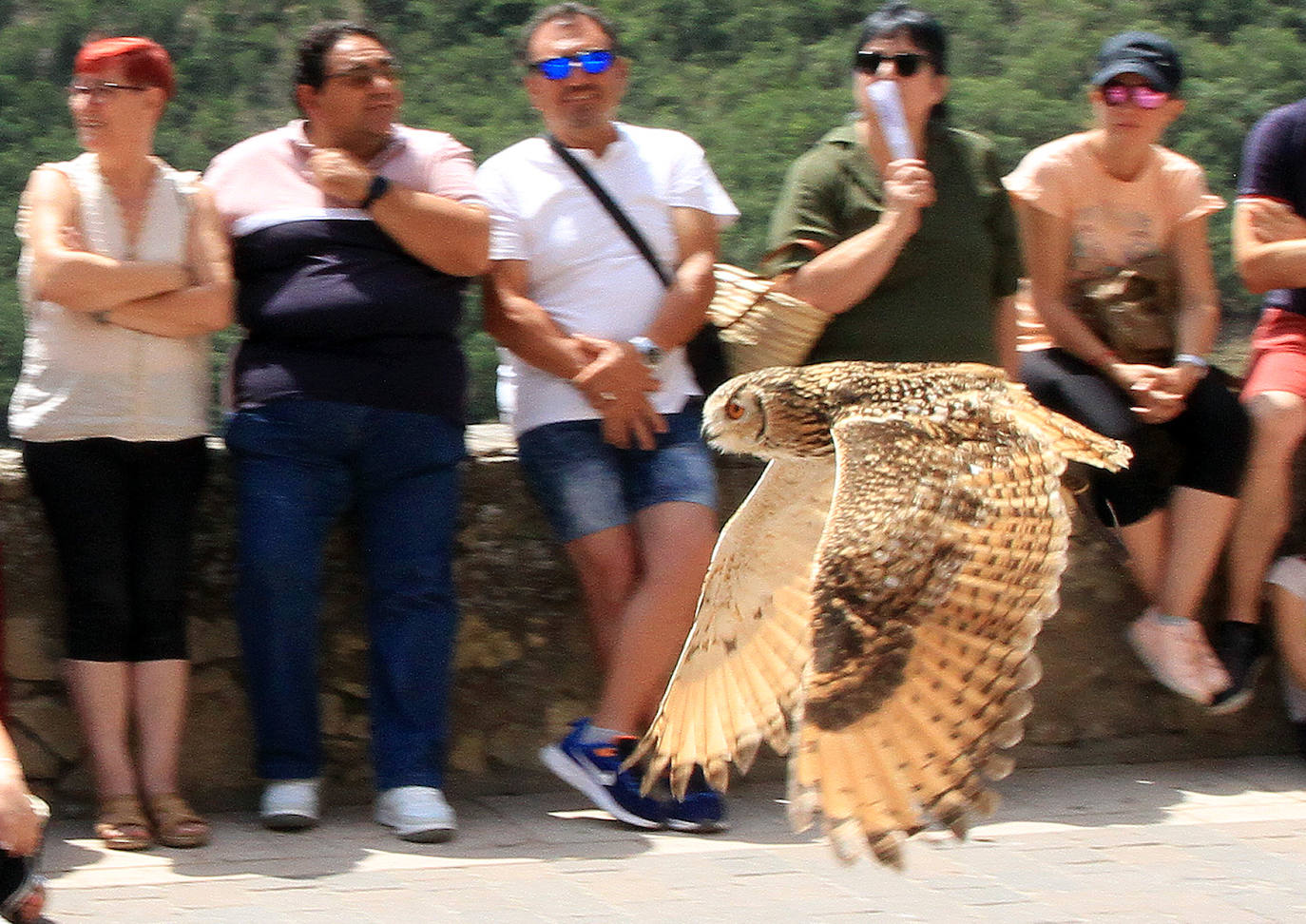 Fiestas de los Fueros de Sepúlveda