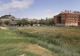 Parcela del Camino de Santa Eufemia, que se limpió en mayo, pero en la que tiene que volverse a actuar.