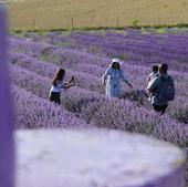 El pueblo de Valladolid que National Geographic compara con la Provenza