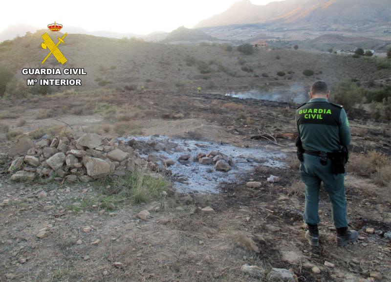 Cuatro investigados por ejercer de veterinarios sin titulación en Medina de Rioseco