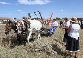 La Fiesta de la Trilla permite el regreso a un pasado no tan lejano y muy enraizado en la economía local