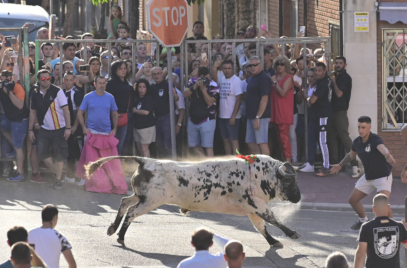 El encierro de las fiestas de Tudela en imágenes