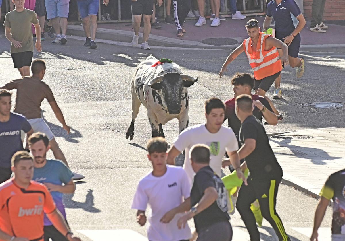 El encierro de las fiestas de Tudela en imágenes