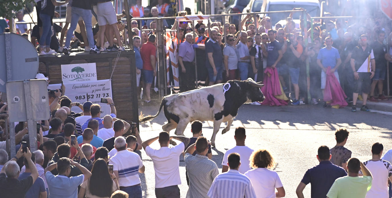 El encierro de las fiestas de Tudela en imágenes