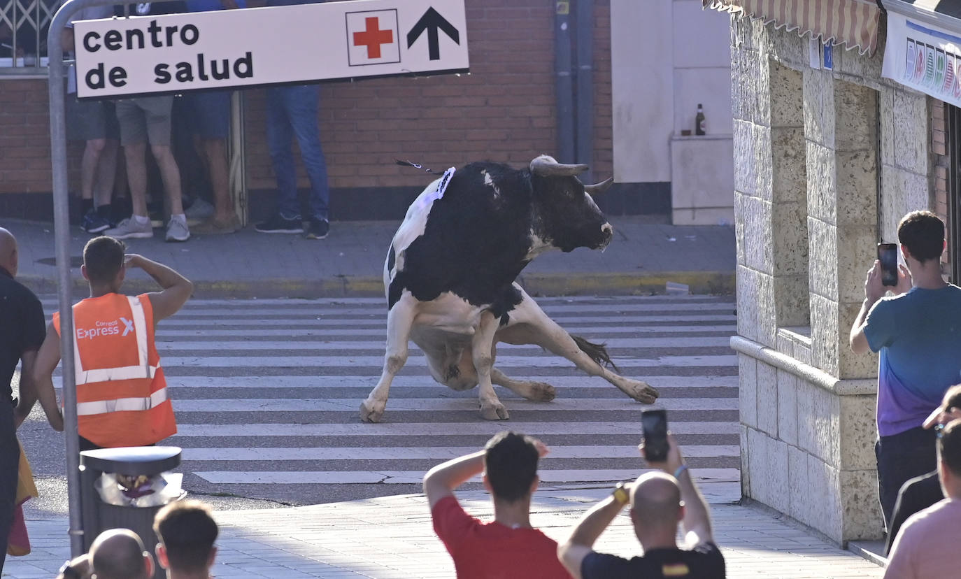 El encierro de las fiestas de Tudela en imágenes