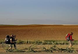 Tres peregrinas, durante su viaje por el Camino de Santiago, a su paso por Tierra de Campos.