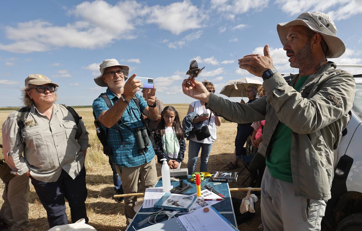 La Laguna de Boada reúne a una treintena de aficionados a la ornitología