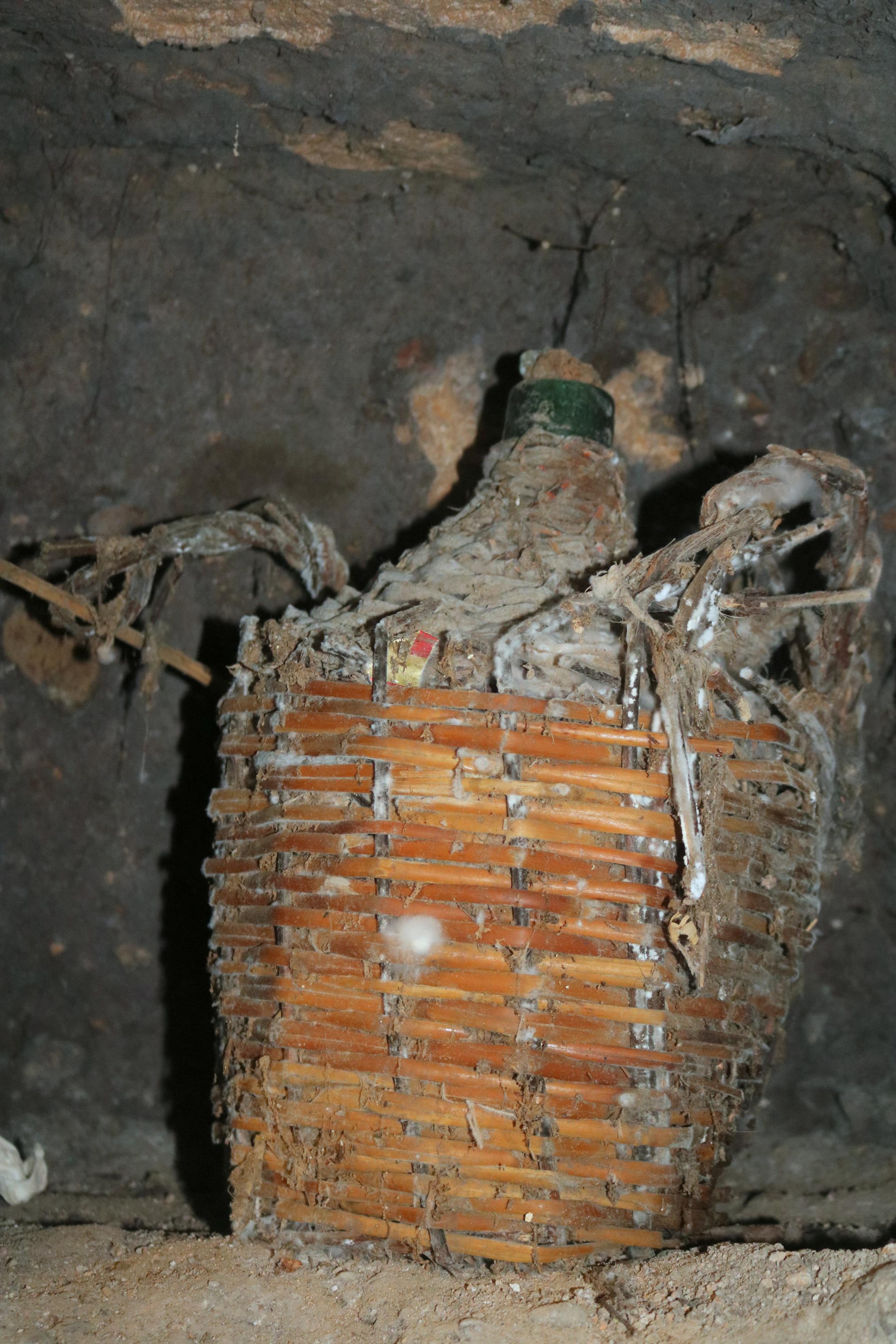 Paseos Narrados entre las Bodegas de Torquemada