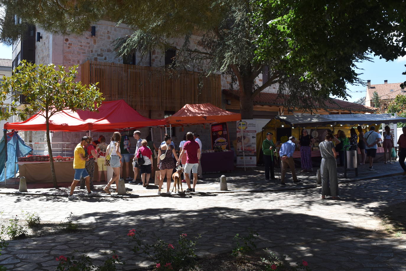 Éxito de la Feria de Artesanía y Productos de la Montaña Palentina en Cervera