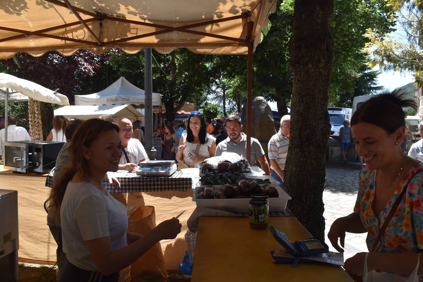 Éxito de la Feria de Artesanía y Productos de la Montaña Palentina en Cervera