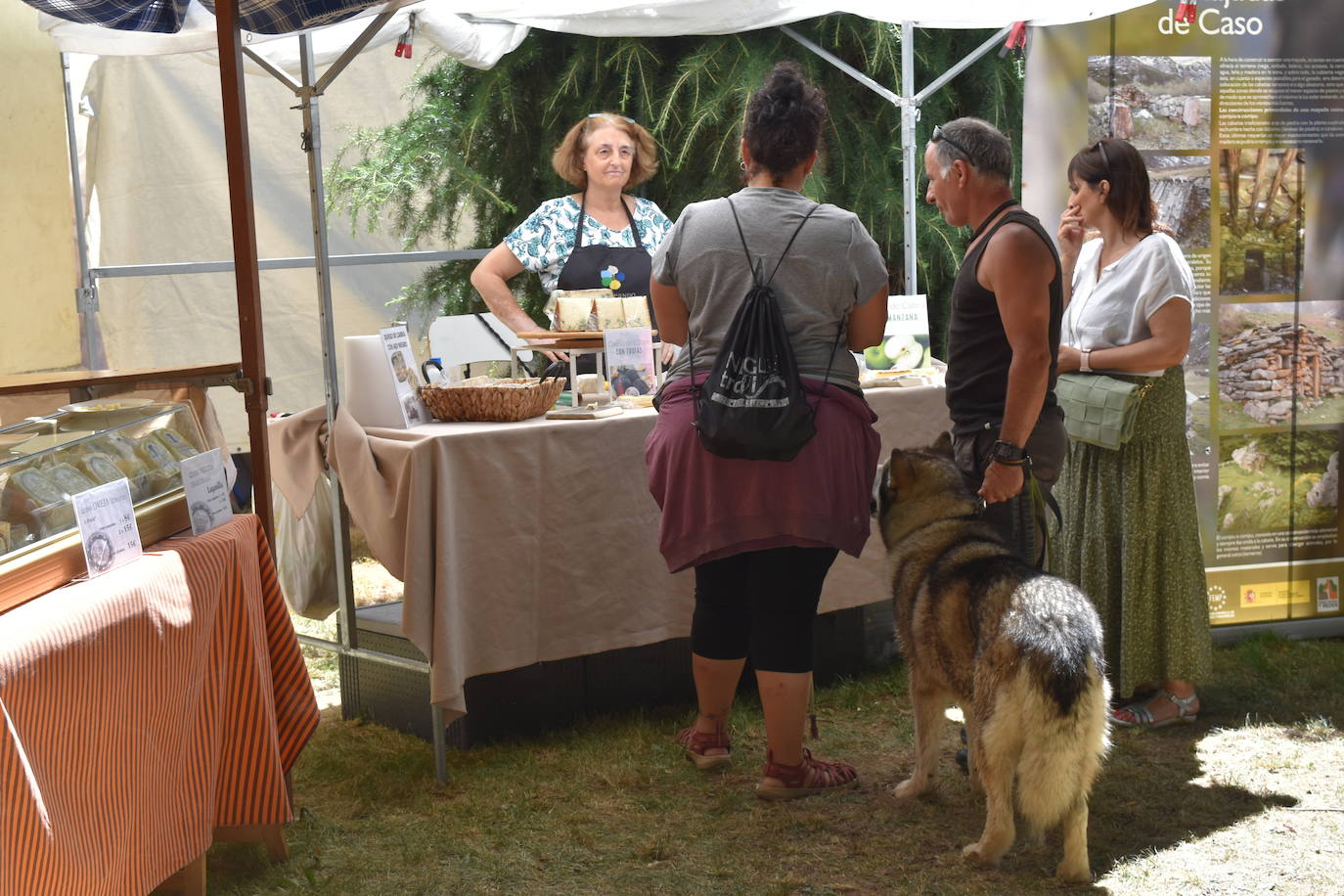 Éxito de la Feria de Artesanía y Productos de la Montaña Palentina en Cervera