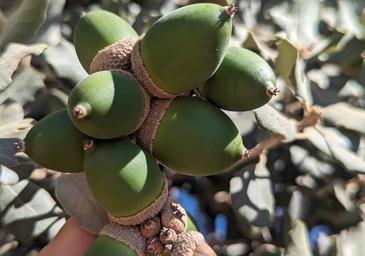 El tiempo esta semana: la actividad agraria continúa con pocas novedades en lo meteorológico