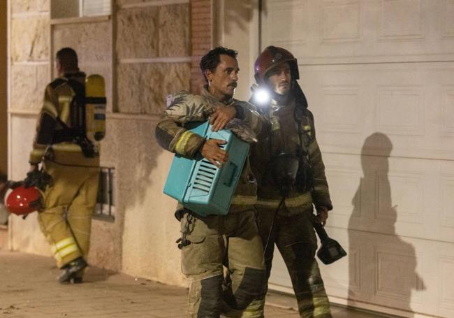 Los bomberos rescatan a Octubre, el gato de Marta Blanco, residente en el 2ºB.