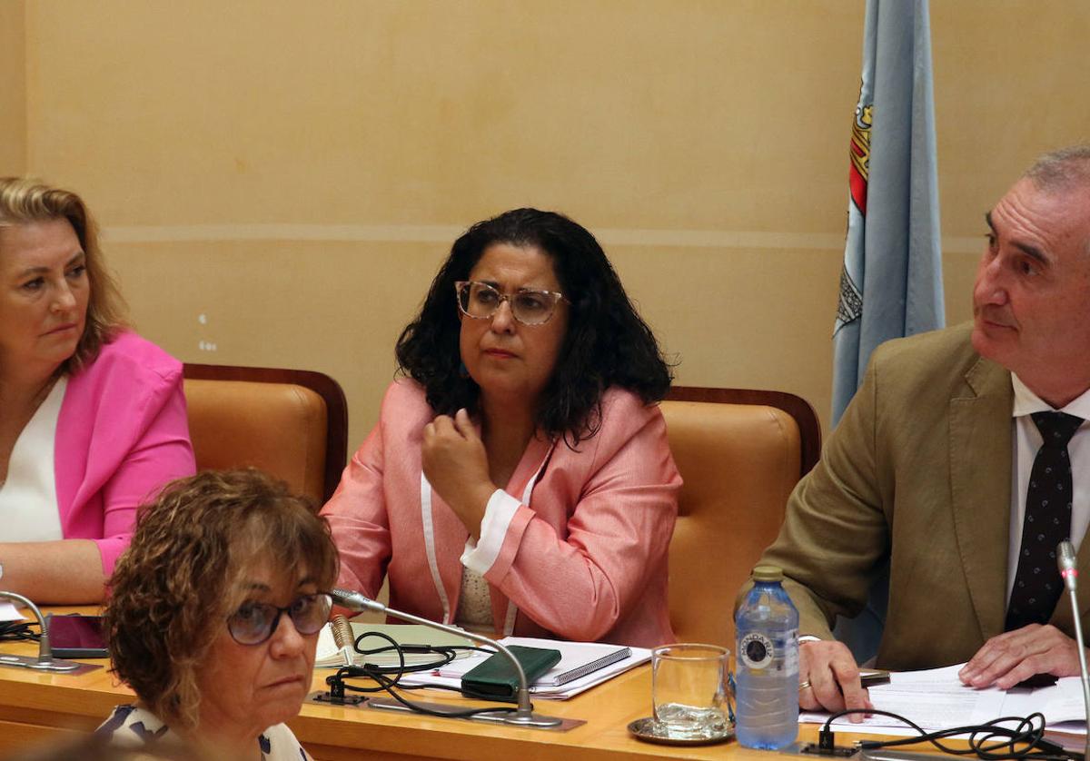 Rosalía Serrano (centro), en un pleno del Ayuntamiento de Segovia.