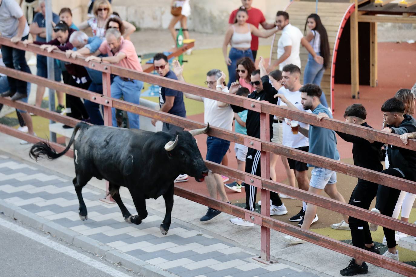 El encierro de La Seca, en imágenes