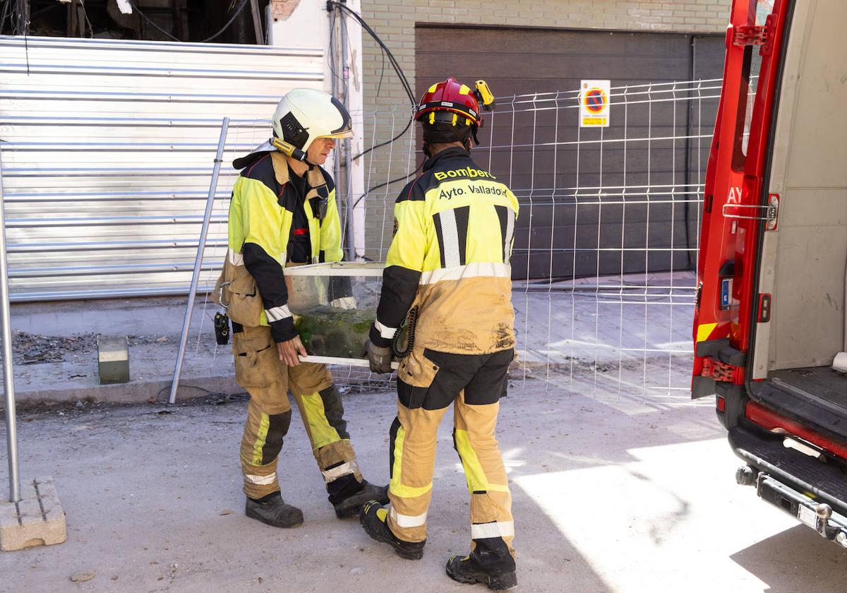 Los Bomberos de Valladolid, tras bajar el acuario del 2ºE.