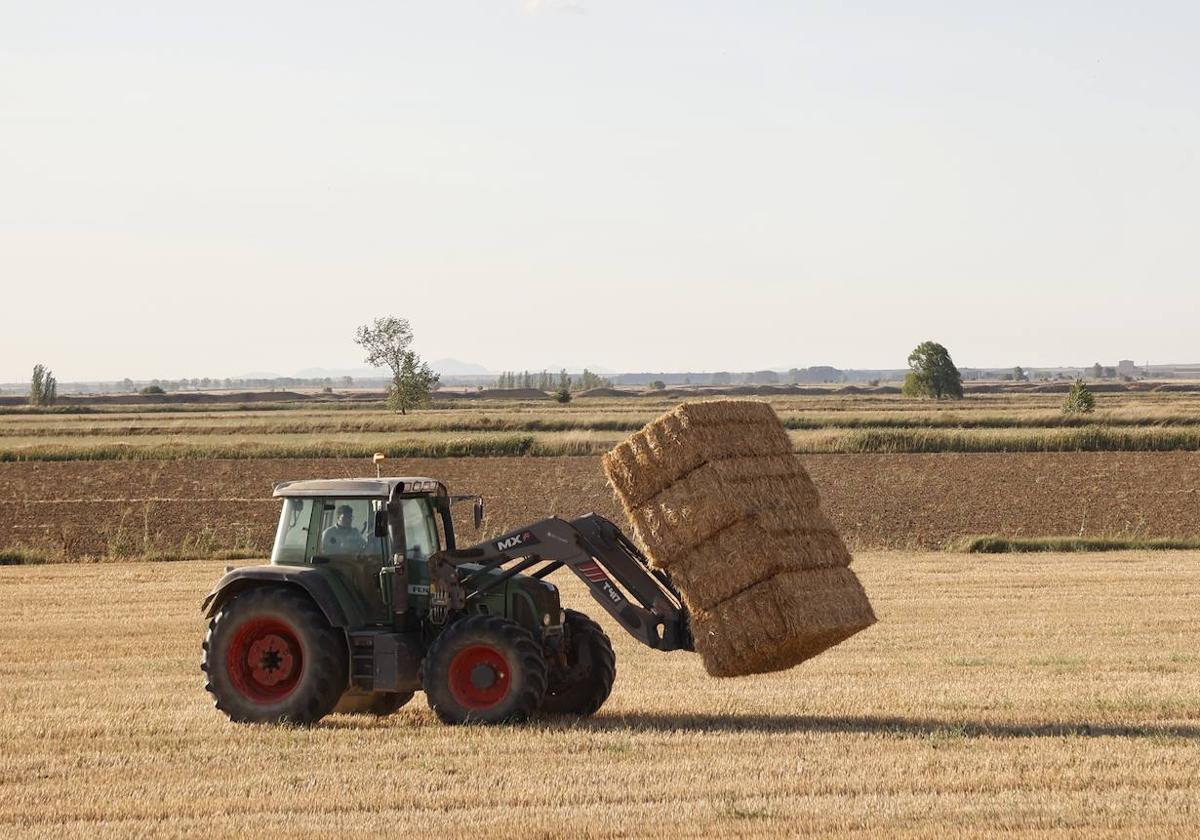 Un tractor recoge las pacas en Tierra de Campos.