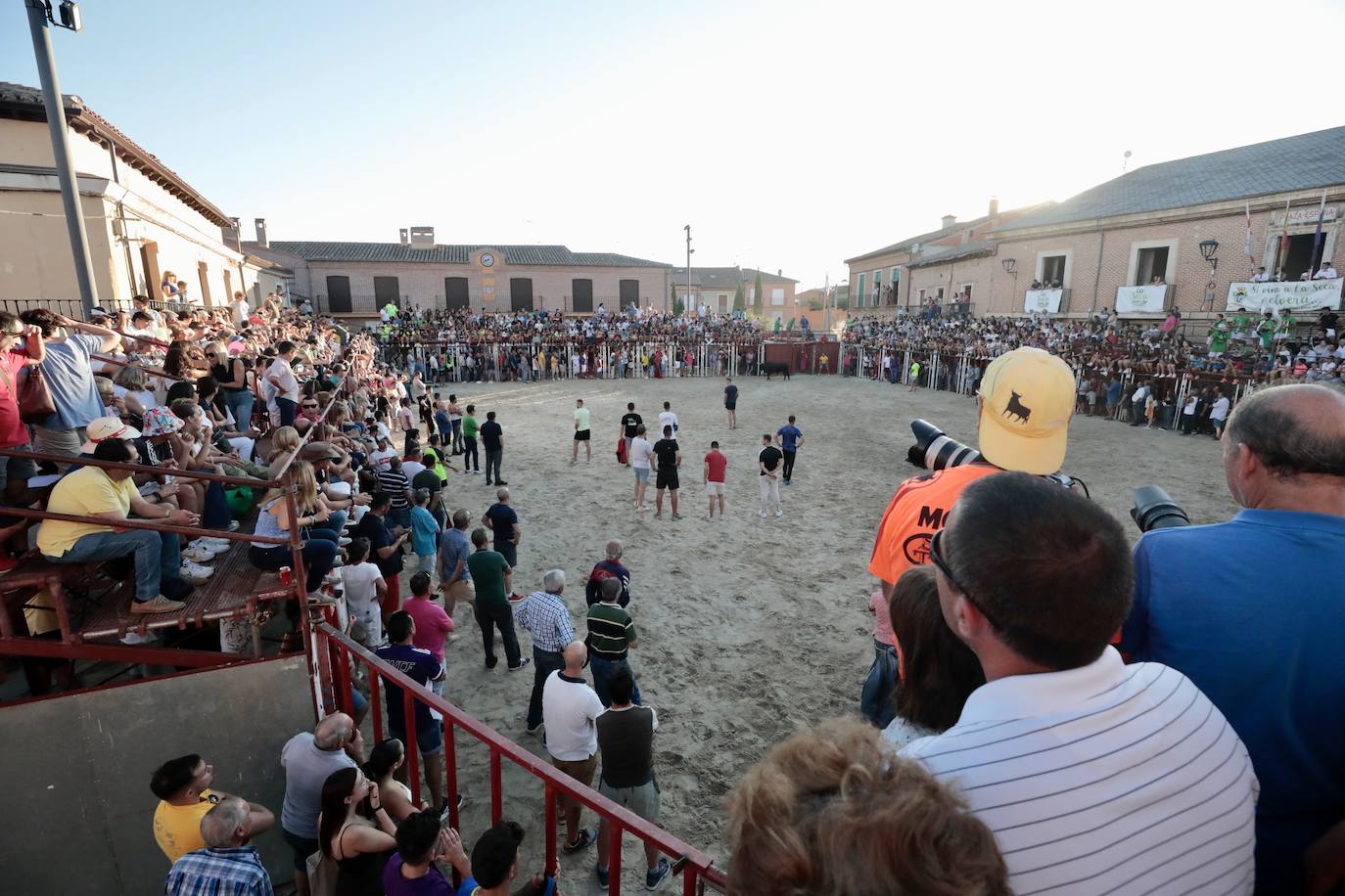 El segundo encierro de toros de La Seca, en imágenes