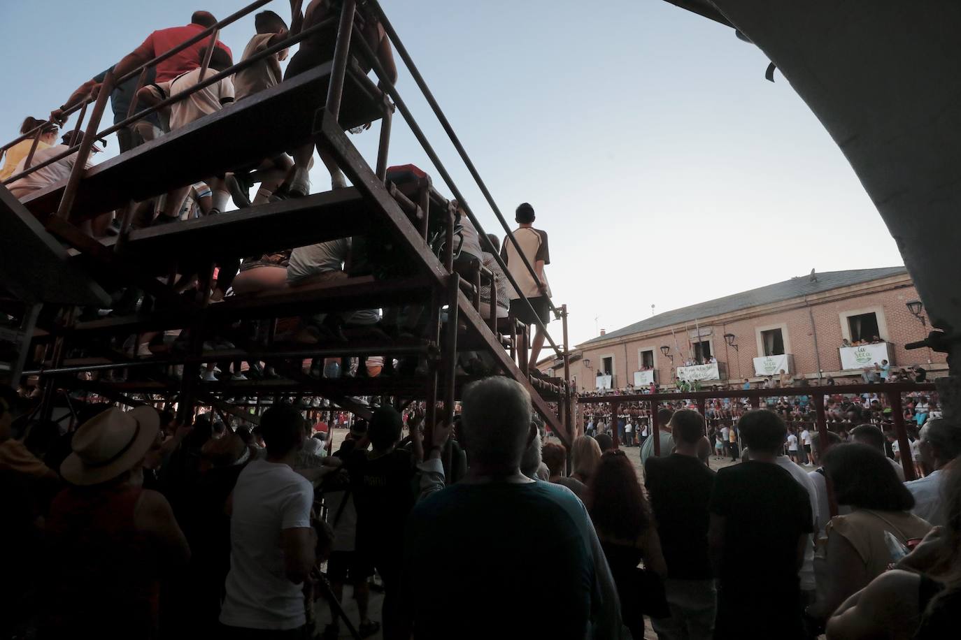 El segundo encierro de toros de La Seca, en imágenes