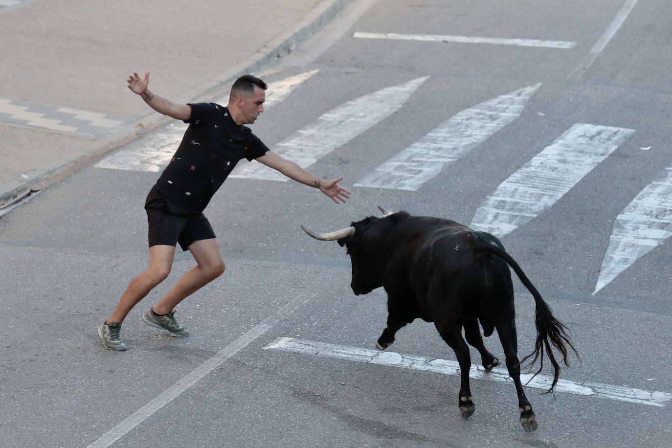 El segundo encierro de toros de La Seca, en imágenes