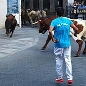 El primer día de los festejos populares de agosto de Íscar, en imágenes (1)