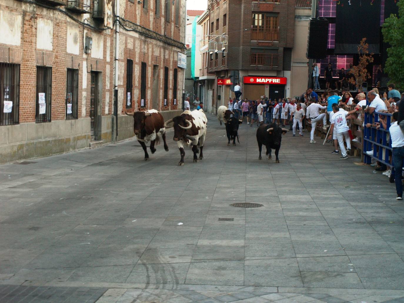 El primer día de las fiestas populares de agosto de Íscar, en imágenes (1/2)