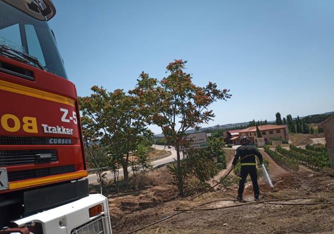 Incendio de maleza en Pesquera de Duero.