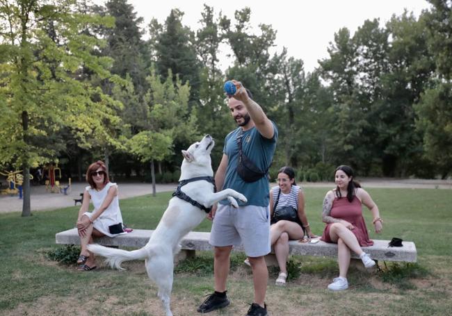 Jóvenes pasean al perro por la ribera del Pisuerga.