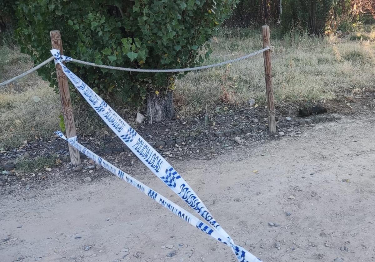 Zona acordonada por la Policía Local de Simancas donde se encontraba el proyectil.