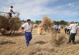 Labores agrícolas tradicionales en la Fiesta de la Trilla de Castrillo de Villavega.