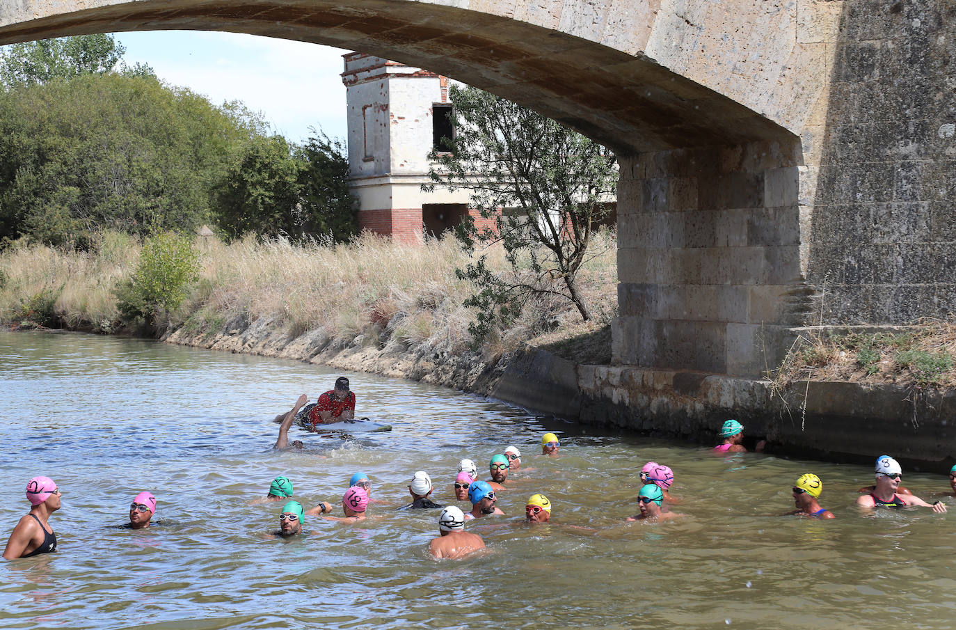 V Travesía a nado Canal de Castilla en Paredes de Nava