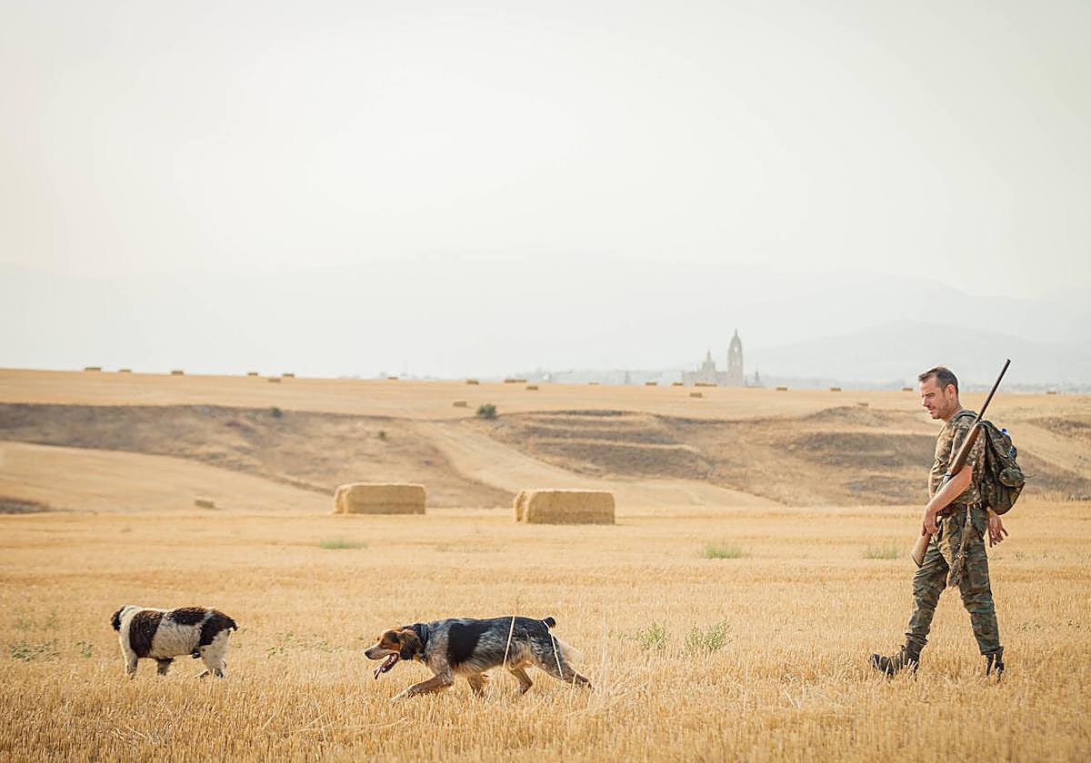 Un cazador, con sus perrros.