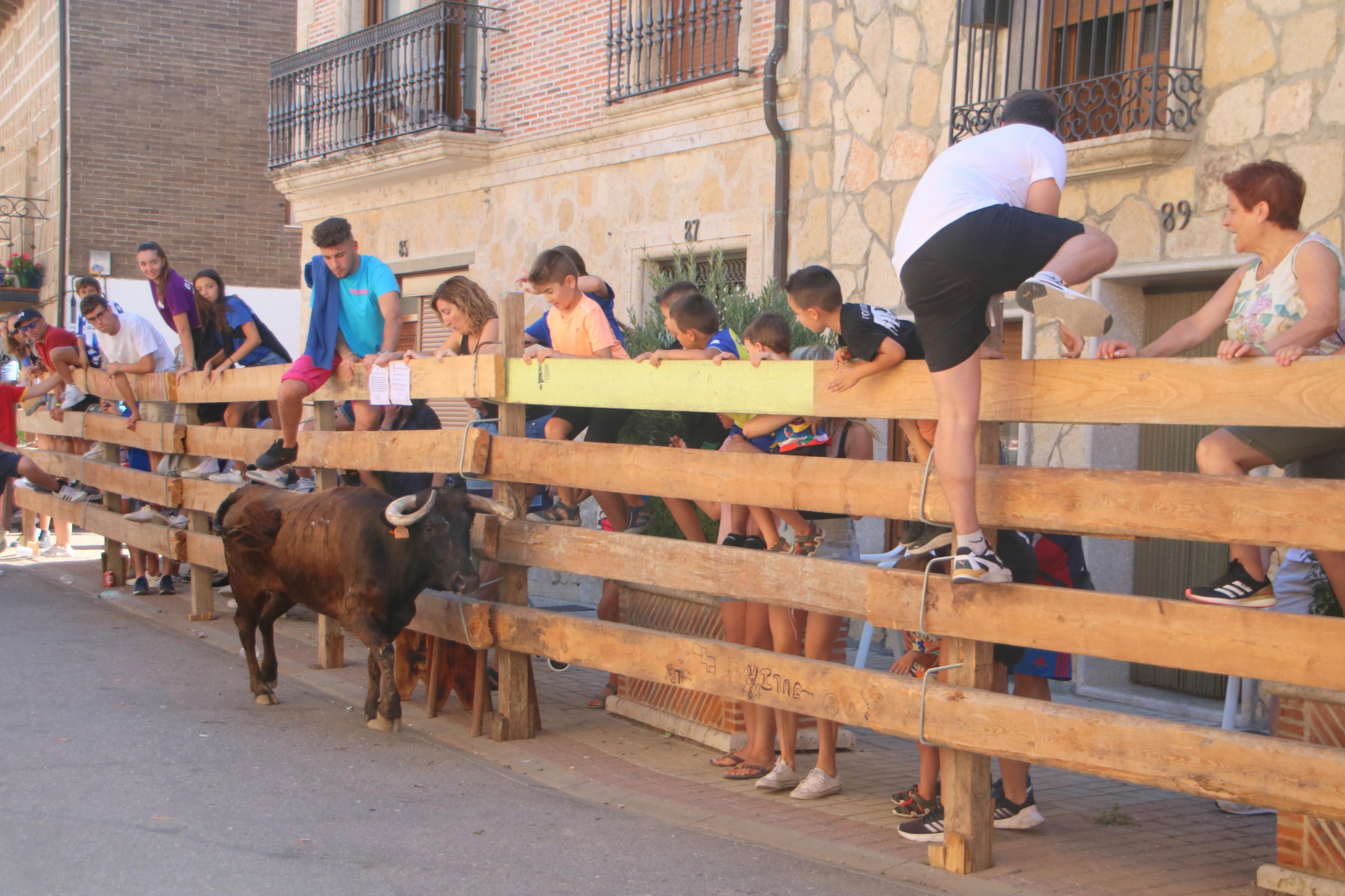 Torquemada, fiel a los encierros tradicionales
