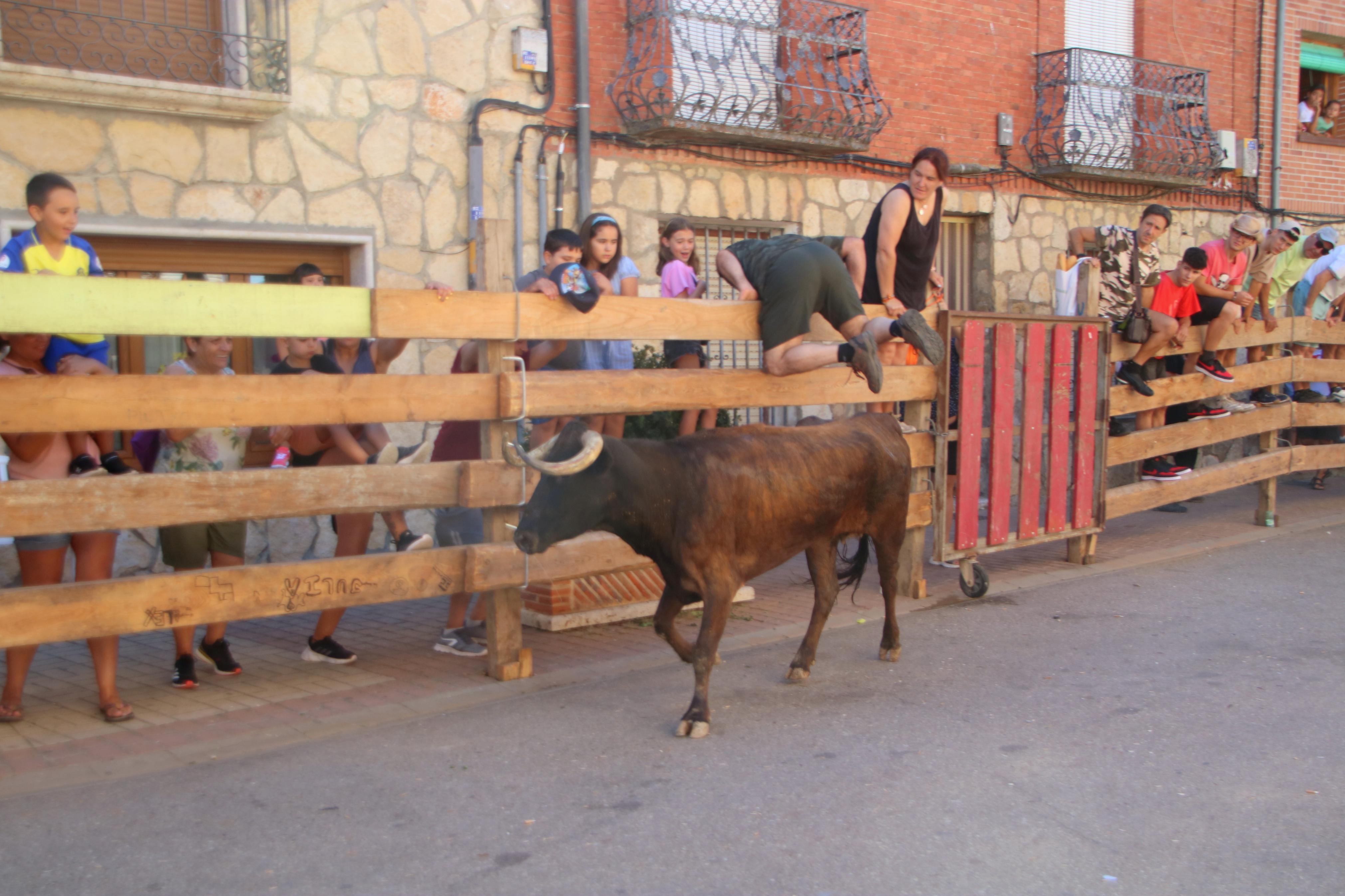 Torquemada, fiel a los encierros tradicionales