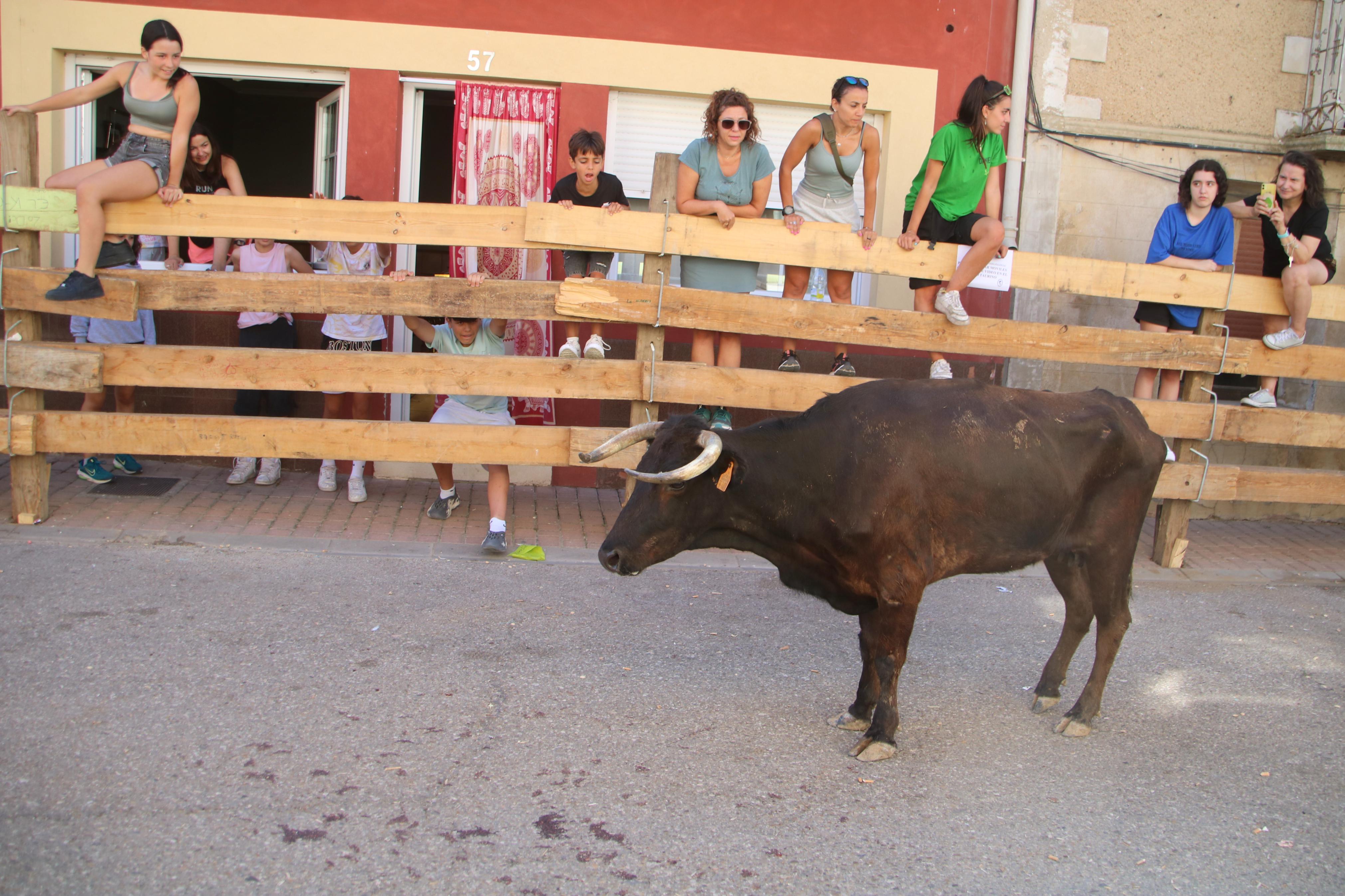 Torquemada, fiel a los encierros tradicionales