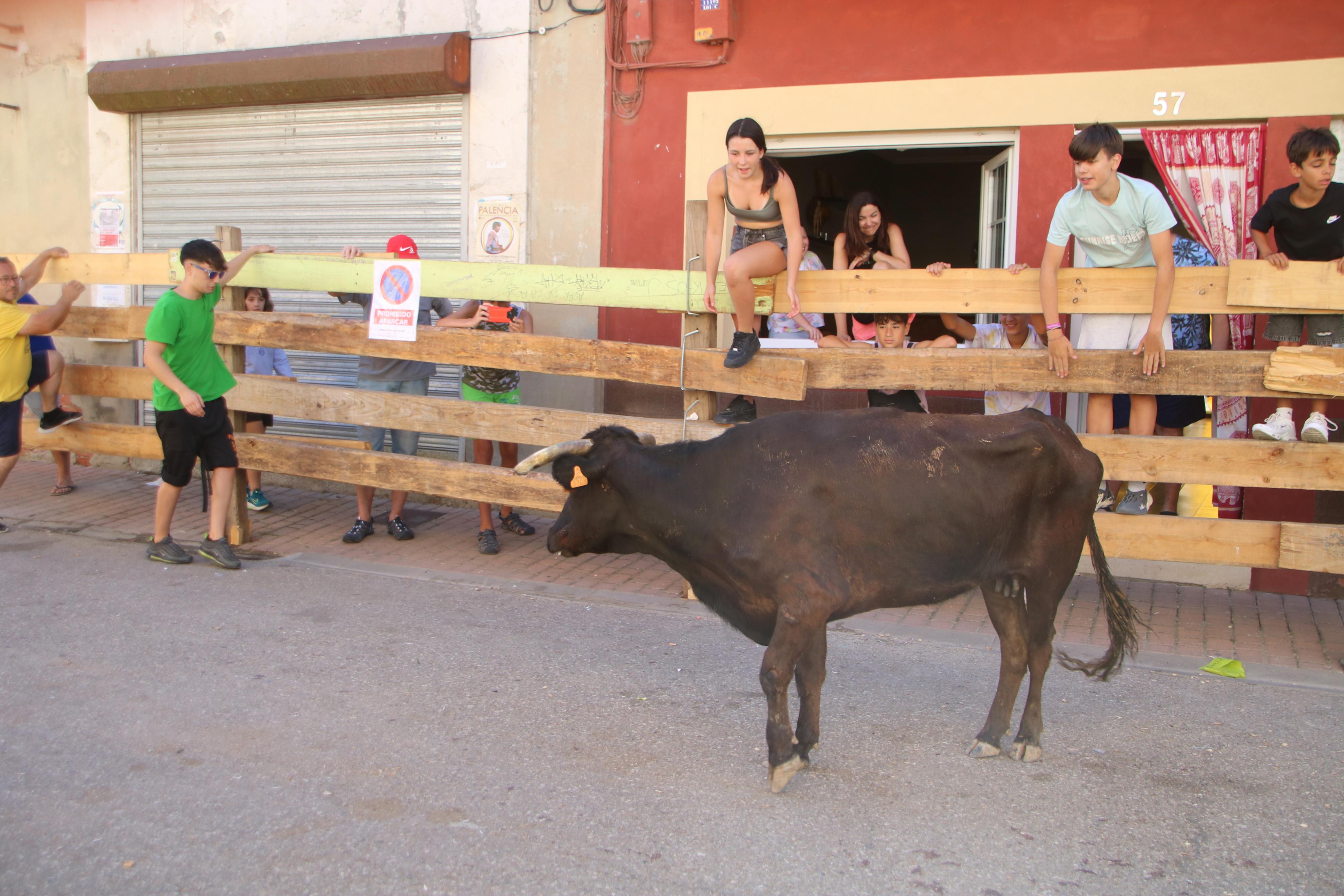 Torquemada, fiel a los encierros tradicionales