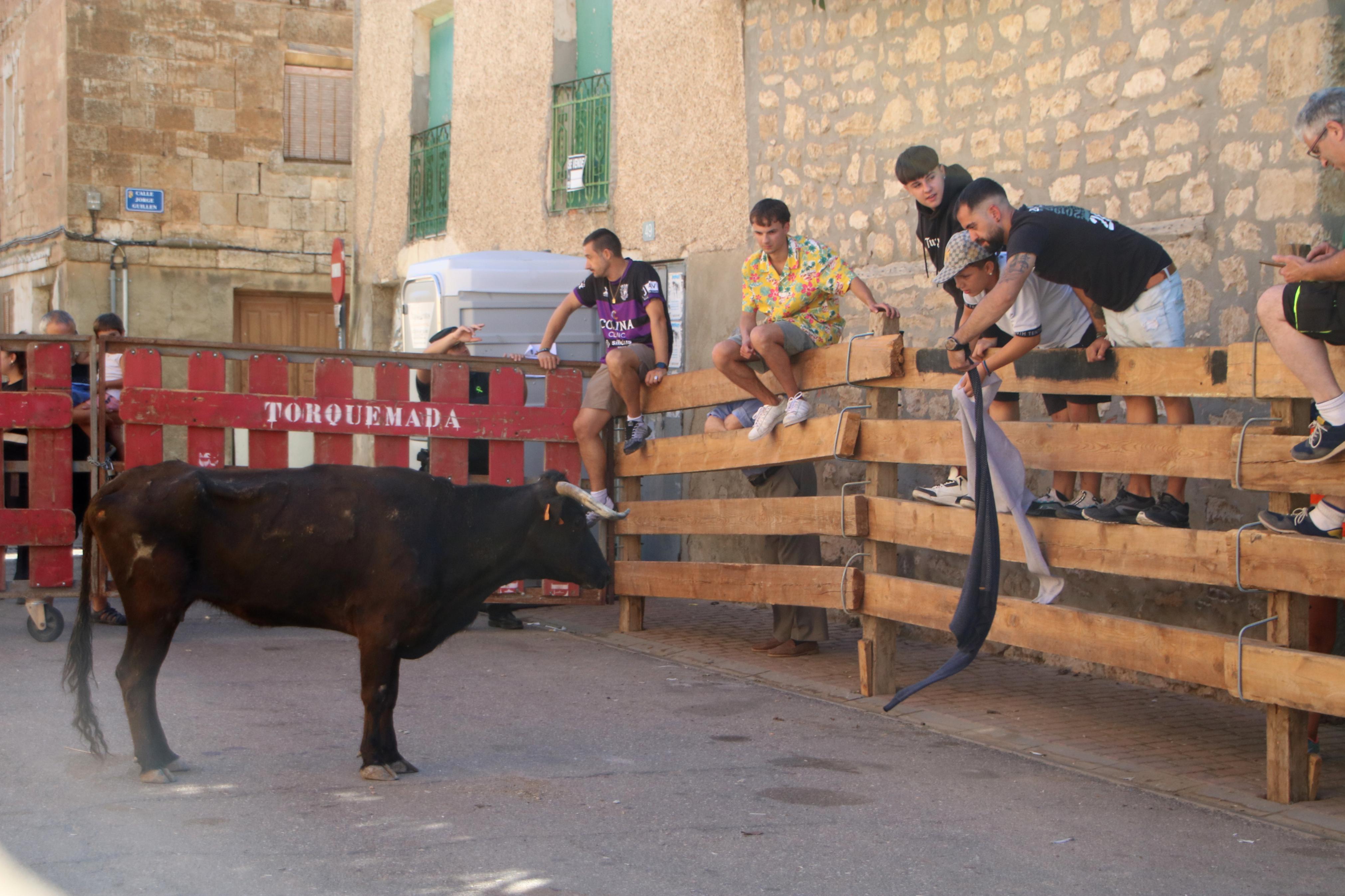 Torquemada, fiel a los encierros tradicionales