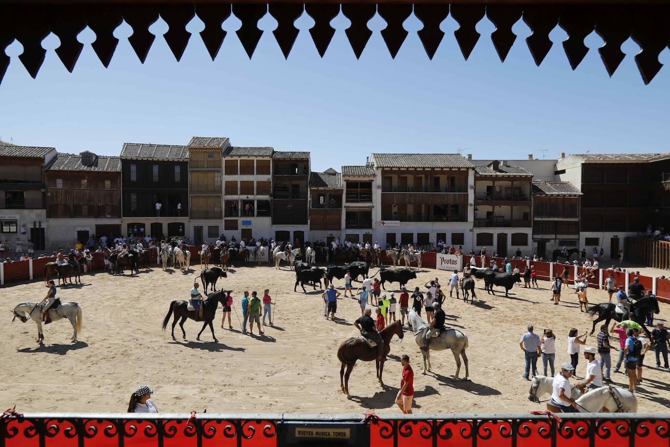 En imágenes, la trashumancia en Peñafiel a un día de comenzar las fiestas