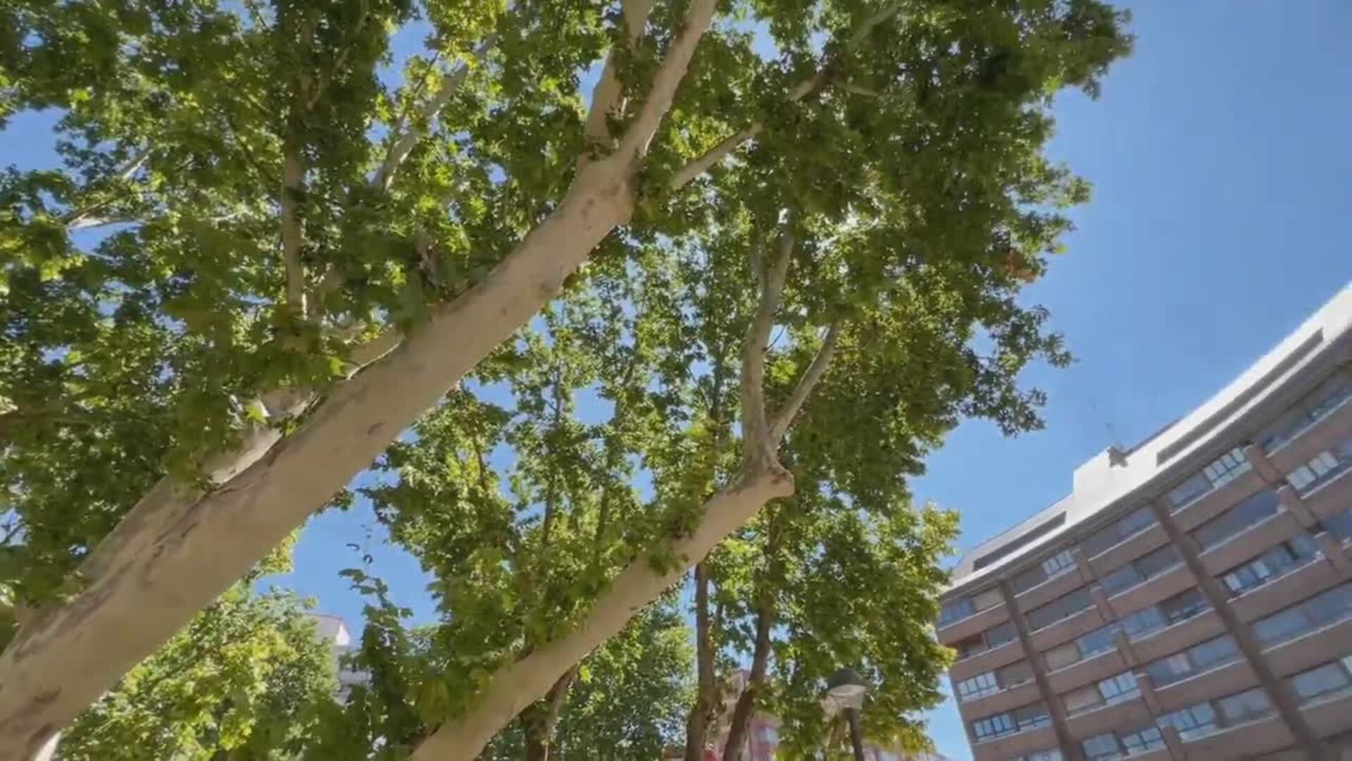 Callejeando por Valladolid: la plaza Circular