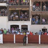 Capea de mañana en la Plaza del Coso de Peñafiel