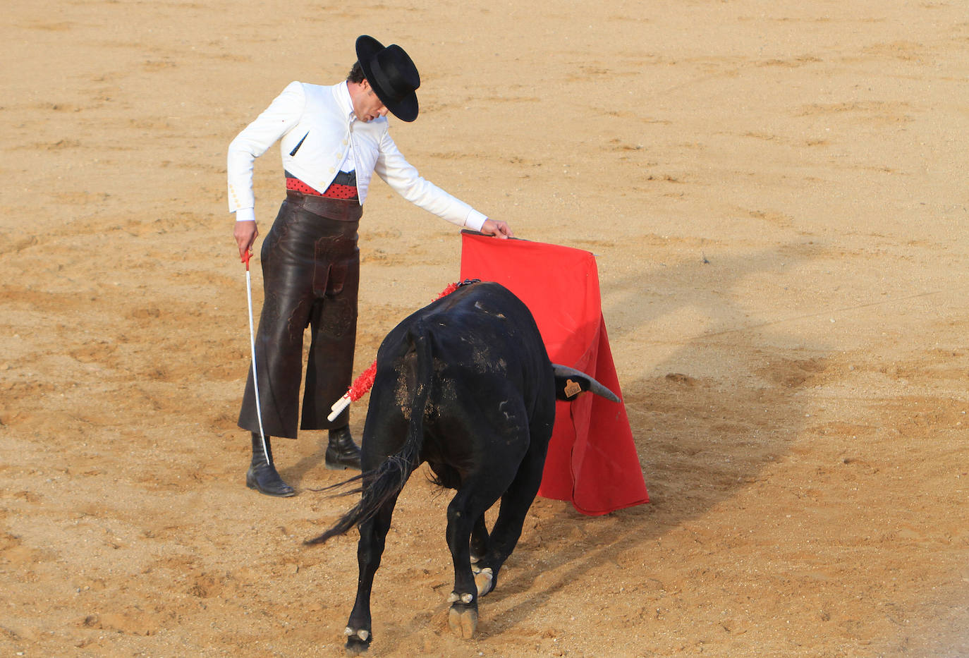 Jesulín de Ubrique reaparece en la plaza de toros de Mozoncillo