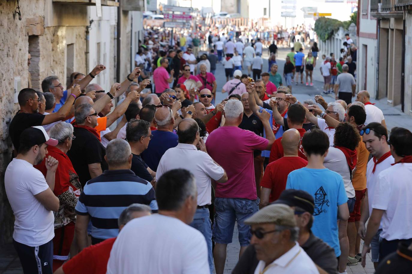 En imágenes, el encierro y la capea matinal de Peñafiel