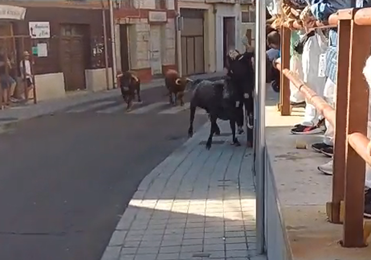 Momento de la cogida a la joven en el encierro de Tudela de Duero.