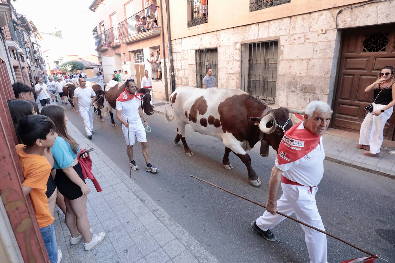 El encierro de este jueves en Tudela de Duero, en imágenes