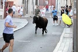 El encierro de este jueves en Tudela de Duero, en imágenes