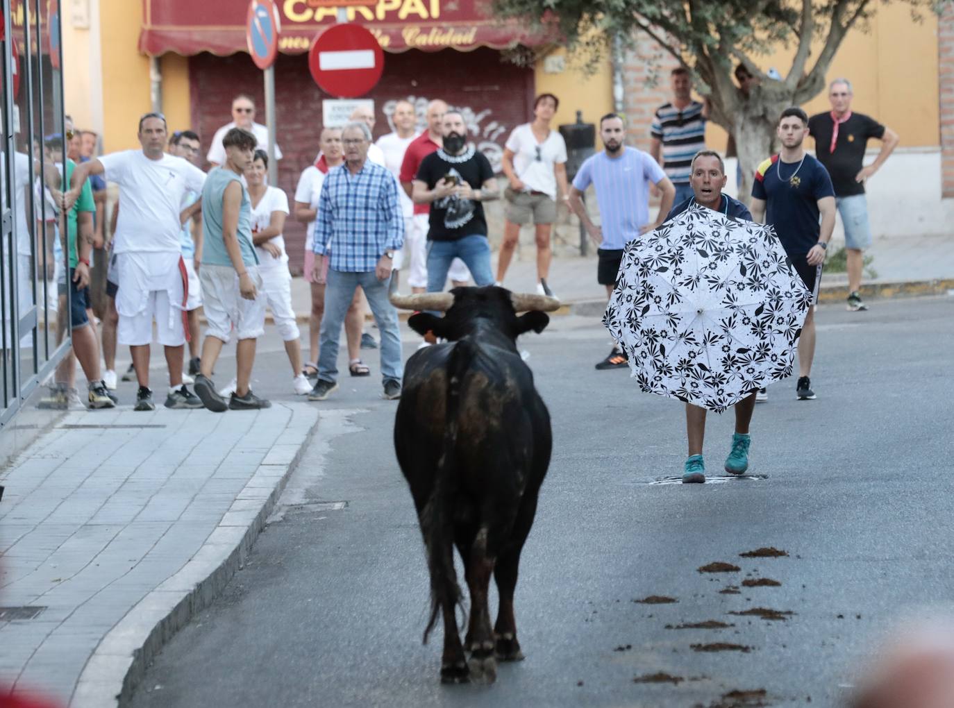 El encierro de este jueves en Tudela de Duero, en imágenes