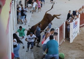 Salto de las tablas del primer toro soltado por dentro del ruedo.